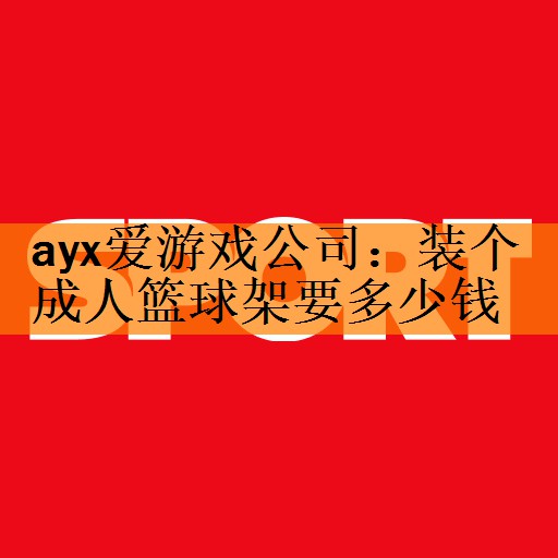 ayx爱游戏公司：装个成人篮球架要多少钱